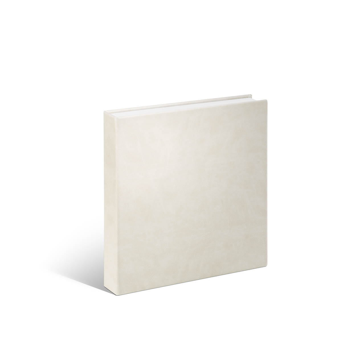 estuche bernia_becerro crema_principal
