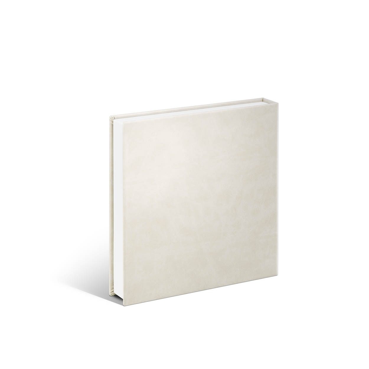 estuche bernia_becerro crema_trasera