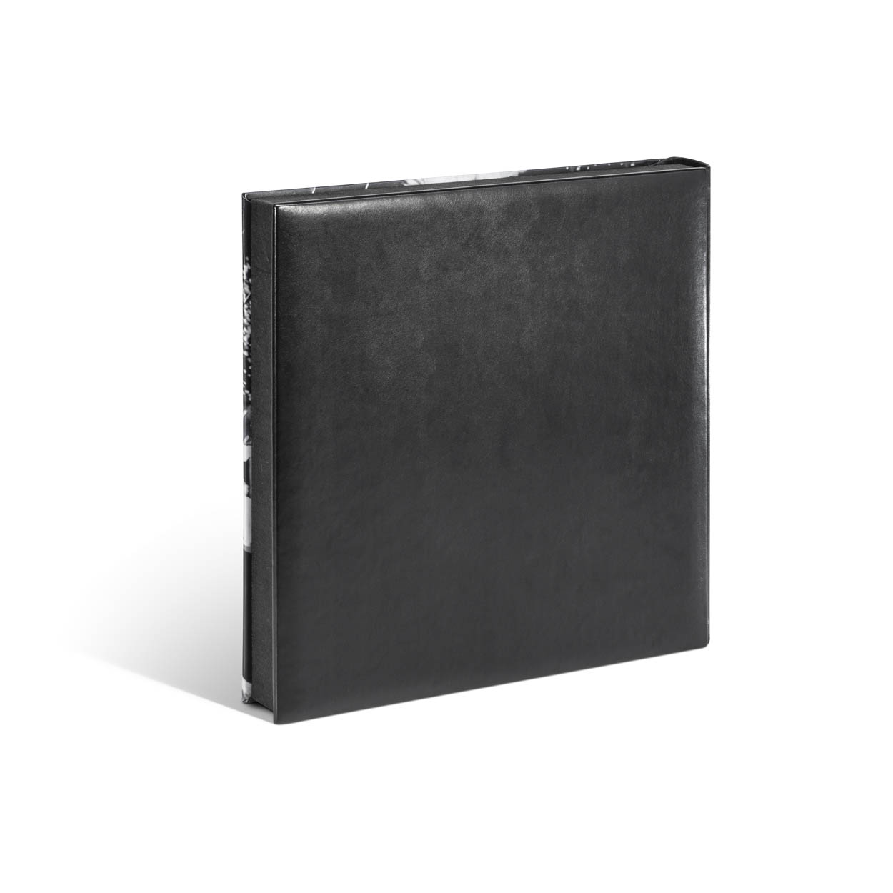 Moneo 2